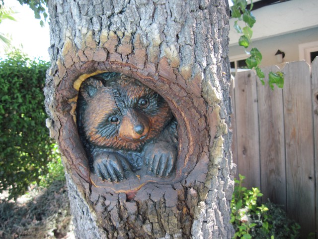 carving Raccoon 1